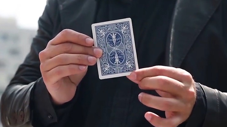 Together 2.0, Blue by Snake - Image 6