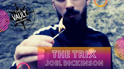 The Vault - The Trix by Joel Dickinson video (Download)