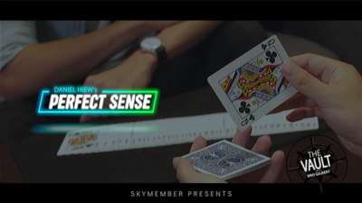 The Vault - Skymember Presents Perfect Sense by Daniel Hiew video (Download)