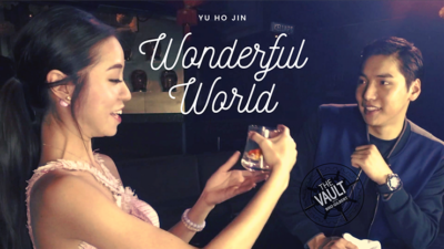 The Vault - Wonderful World by Yu Hojin video (Download)