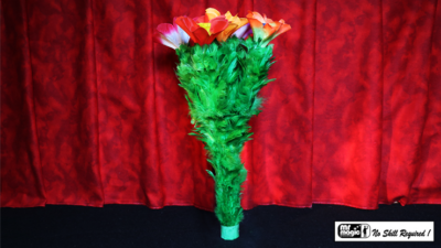 Classic Blooming Bouquet Double, 5 by Mr. Magic
