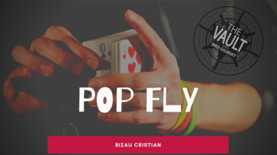 The Vault - Pop Fly by Bizau Cristian video (Download)