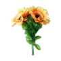 amazingsplitsun-full.png