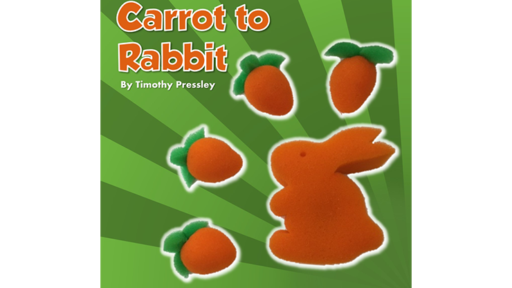 Sponge Carot To Sponge Rabbit