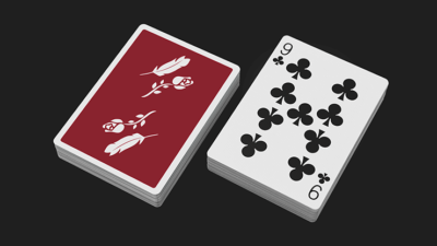 Remedies Playing Cards By Madison x Schneider - Image 5