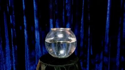 APPEARING FISH IN BOWL by Sorcier Magic - Image 2