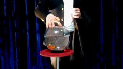 APPEARING FISH IN BOWL by Sorcier Magic - Image 3