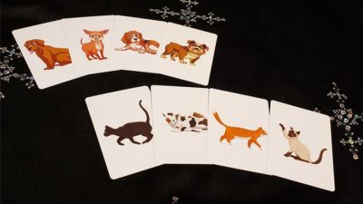 Animal Card by Tejinaya by Tejinaya Magic - Trick - Image 3
