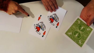 Rabbit On The Rainbow, Gimmicks and Online Instructions by Juan Pablo Magic - Image 4