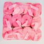web pf bubble gum