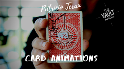 The Vault - Card Animations by Patricio Teran video (Download)