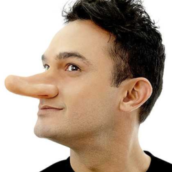 Nose