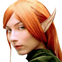 Ears