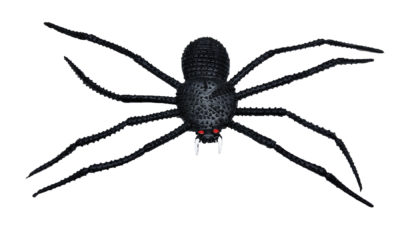 11" Spider