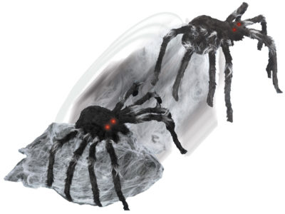 Jumping Spider Black