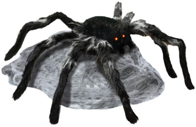 Jumping Spider Black - Image 2
