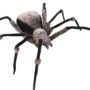 web mc mr123288 lite up spider