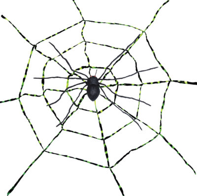 Spiderweb with Spider