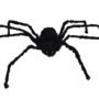web mcFW9898 spider 50 pos