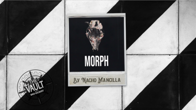 The Vault - MORPH by Nacho Mancilla Mixed Media (Download)