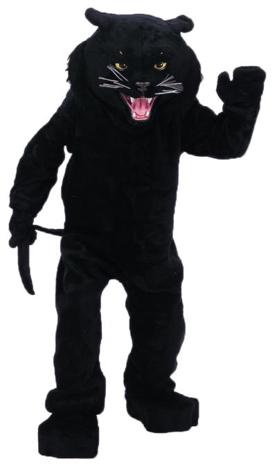 Black Panther Mascot Costume