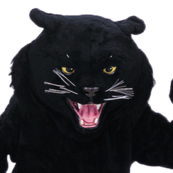 Black Panther Mascot Costume
