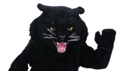 Black Panther Mascot Costume