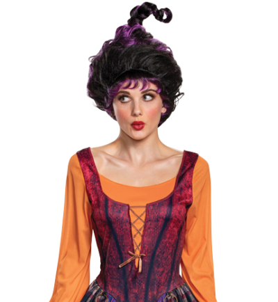 Mary Houcs Pocus Costume