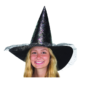 Witch Hat With Veil
