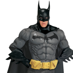 Batman Collectors Costume