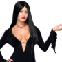 Morticia Addams Sexy Costume