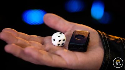 MENTAL DIE WHITE, With Online Instruction by Tony Anverdi - Image 3