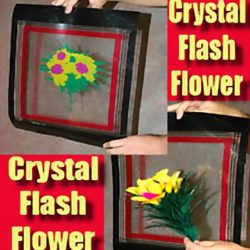 Crystal Flash Flower
