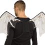 Skeleton Bones Wings