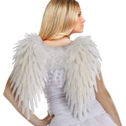 Wings