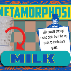 metamorphosis milk