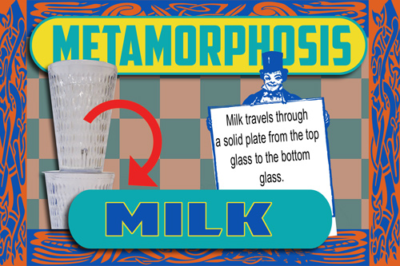 metamorphosis milk