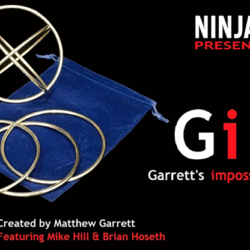 GIR Ring Set, Gimmick and Online Instructions by Matthew Garrett