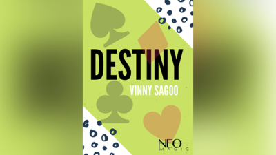 Destiny by Vinny Sagoo eBook (Download)