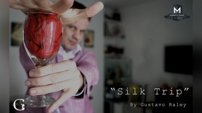 Silk Trip by Gustavo Raley video (Download)