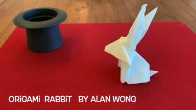 Origami Rabbit by Alan Wong - Image 2
