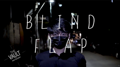 The Vault - Blind Flap Project by PH and Mario Tarasini video (Download)