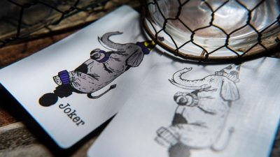 Memoria Deck, Feinaiglian Grid Playing Cards - Image 5