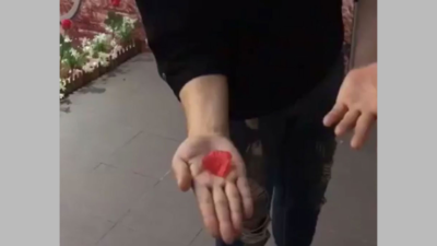 PETAL TO COIN by JL Magic - Image 2