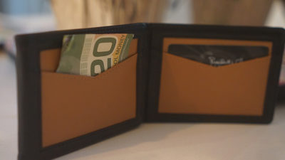 Chameleon Skin Wallet by Jim Steinmeyer - Image 2