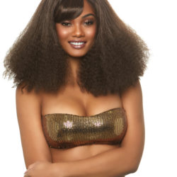 Diva Wig Brown