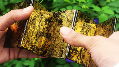 Stardust - Retro Trainers, Gold Flake by Magic Encarta