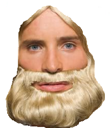 Beard Blonde Short