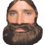 Beard Brown Short
