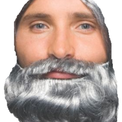 Beard Grey Short